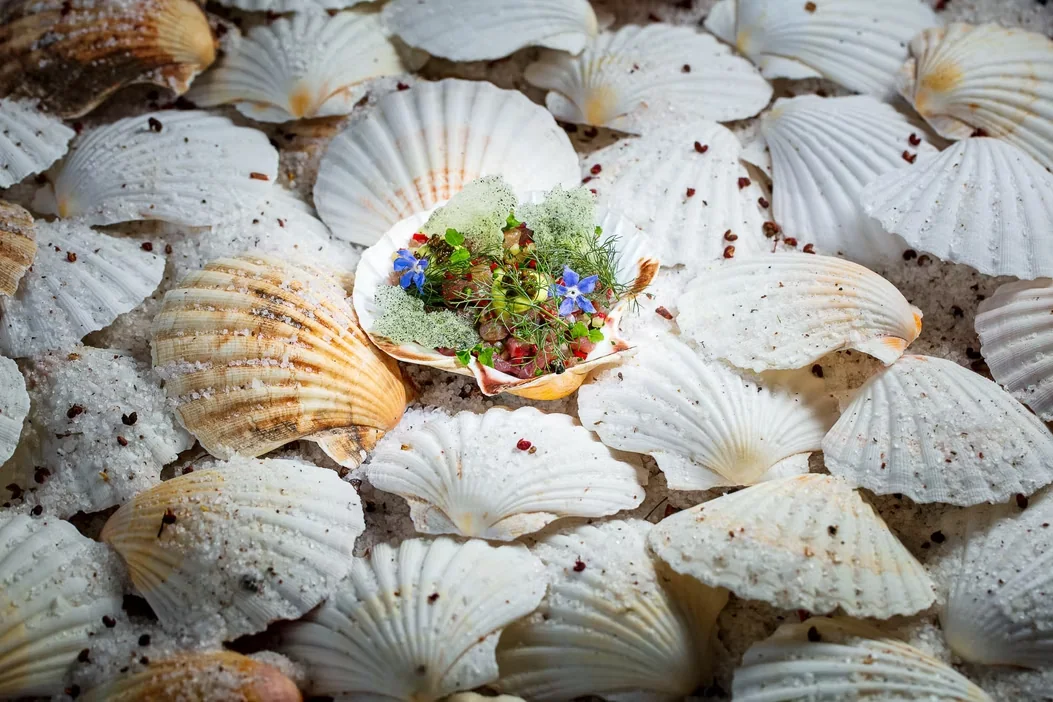 A prepared shellfish course presented among scallop shells